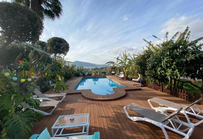 فندق Altea Paradise 1917   Adults Only