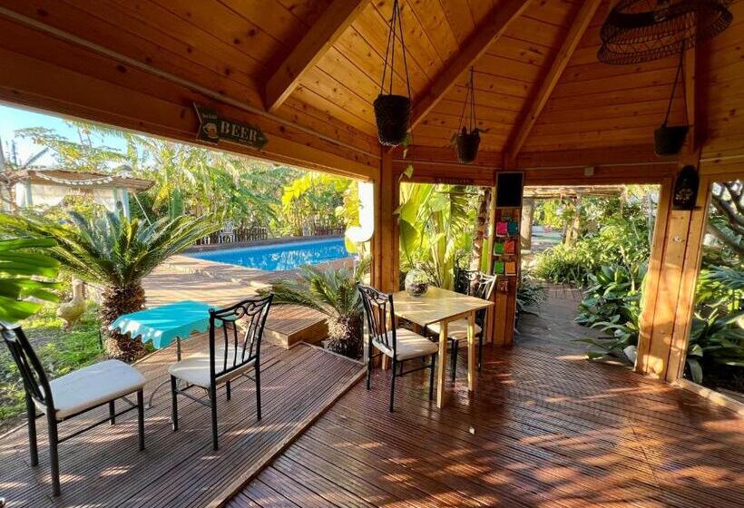 فندق Altea Paradise 1917   Adults Only