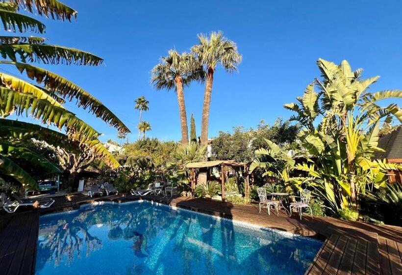 فندق Altea Paradise 1917   Adults Only