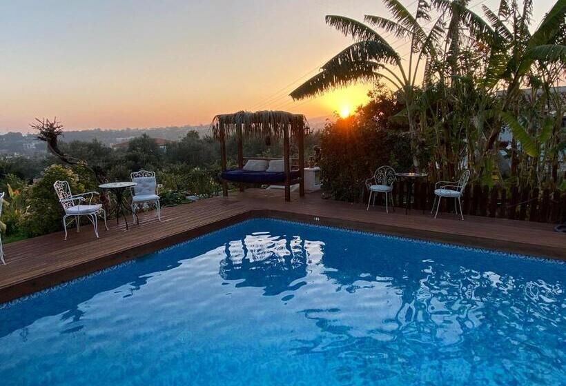 فندق Altea Paradise 1917   Adults Only