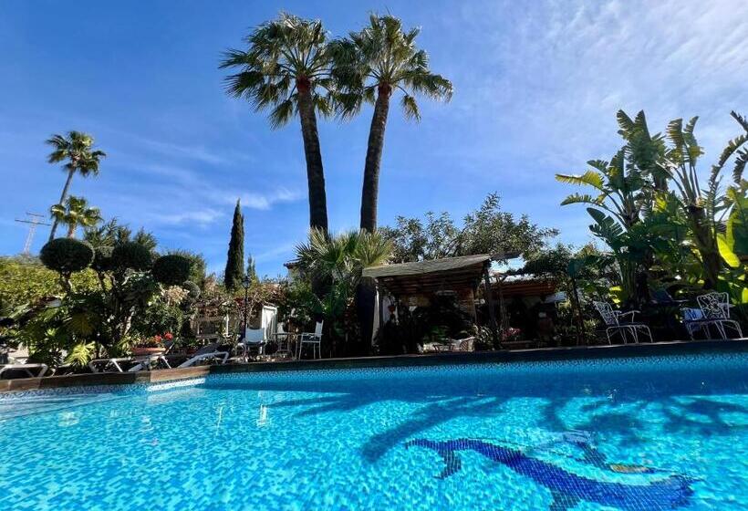 فندق Altea Paradise 1917   Adults Only