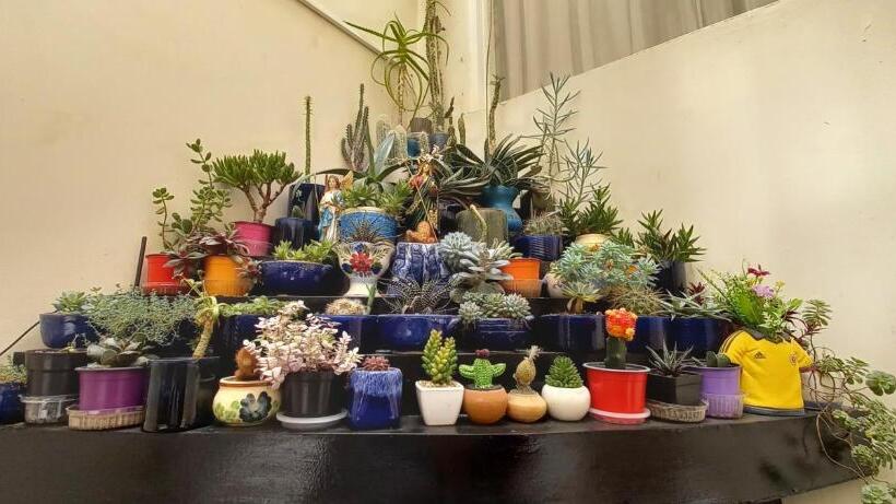 هتل Catalina Real