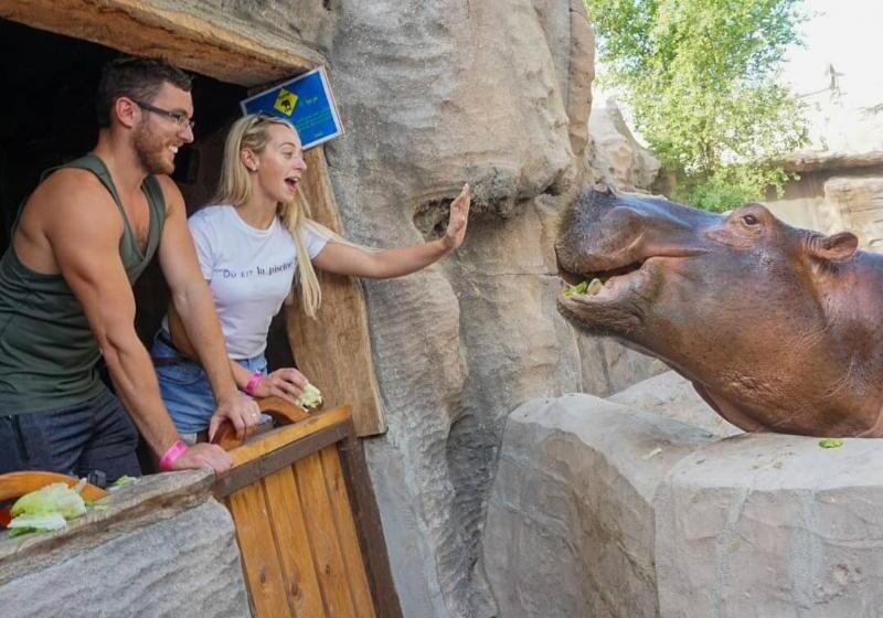 فندق Emirates Park Resort