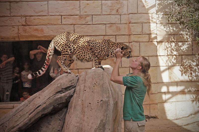 فندق Emirates Park Resort