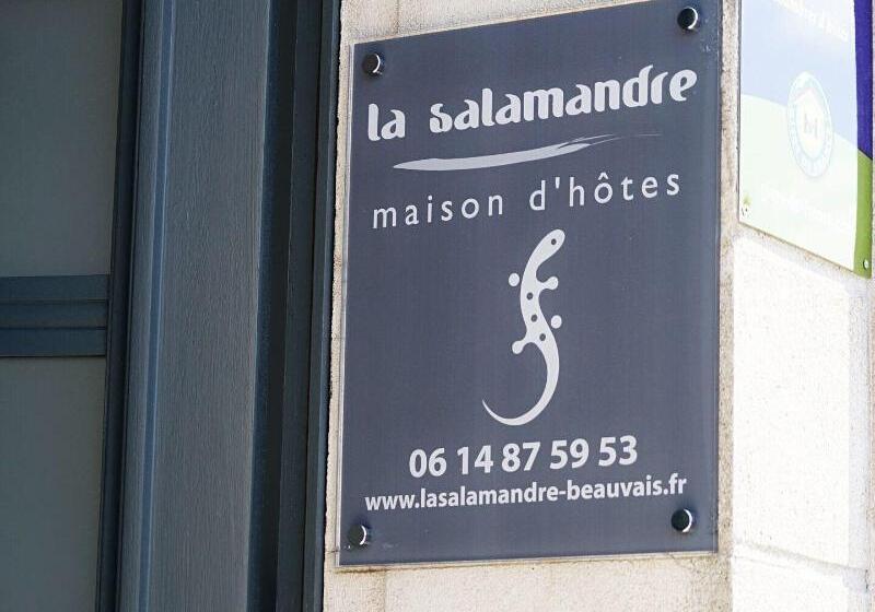 هتل La Salamandre