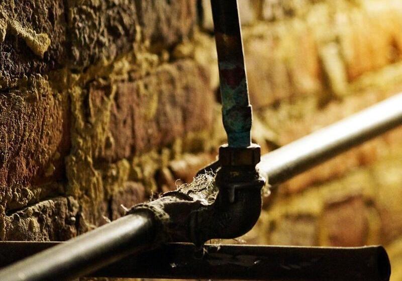 هتل La Salamandre