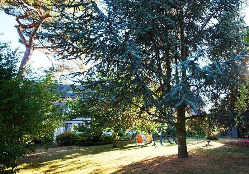 هتل La Salamandre