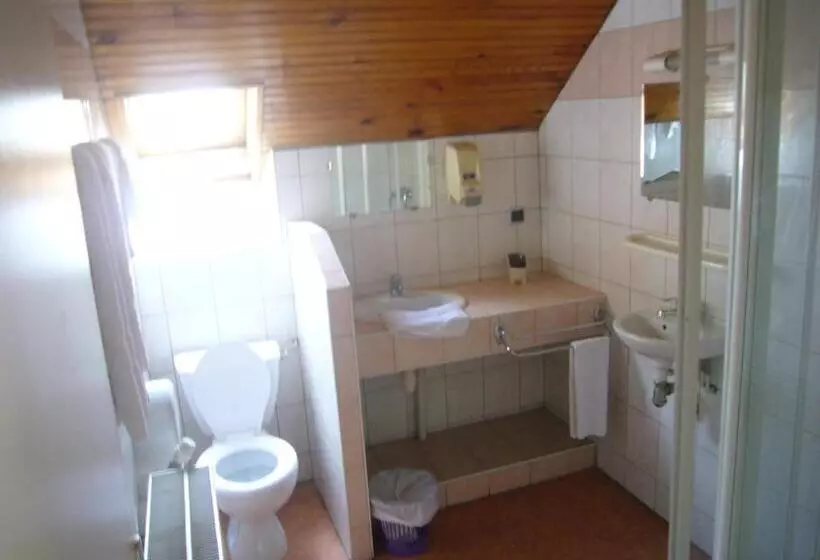 هتل Le Relais Du Lac