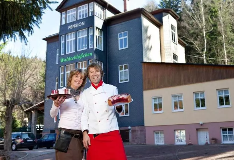 Hotelli Pension Waldschlösschen