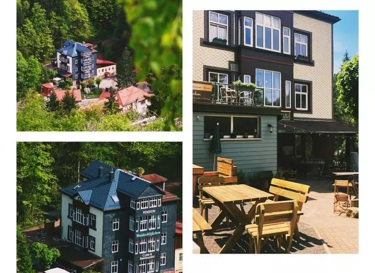 Hotelli Pension Waldschlösschen
