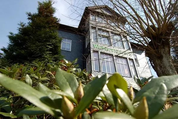 Hotelli Pension Waldschlösschen