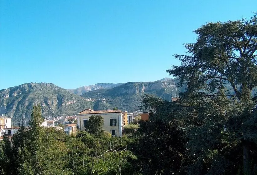 هتل Casa Vienna