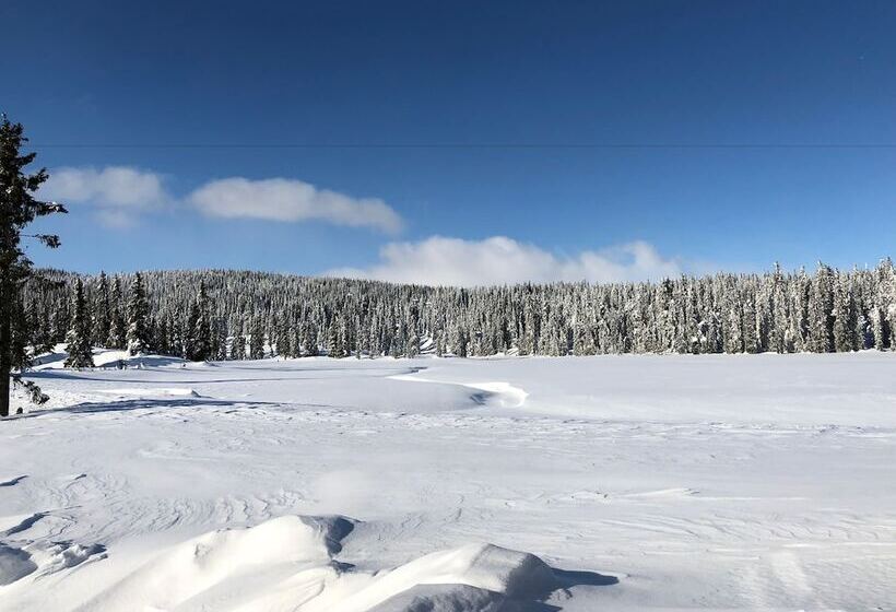 ホテル Camp Lillehammer