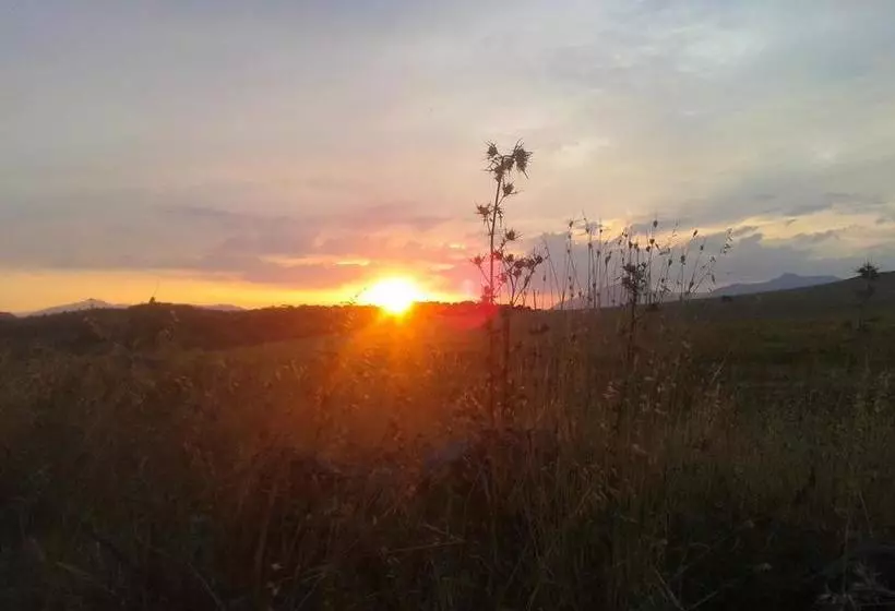 ホテル Cortijo Puerto El Peral
