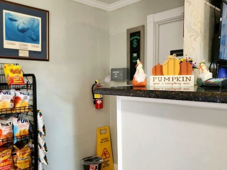 Отель Cumberland Kings Bay Lodge