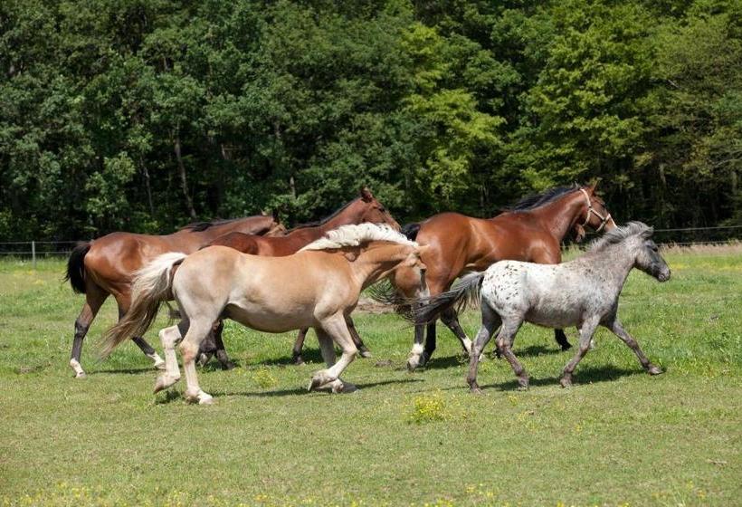 Отель Der Krumphof