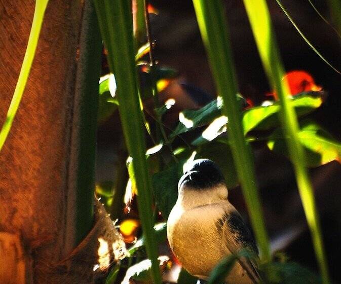 Hotel Hostal Antares