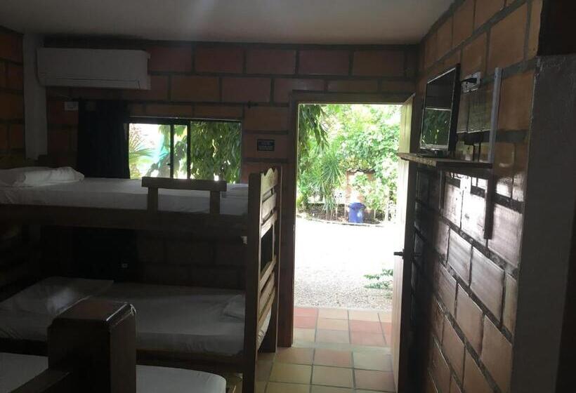 酒店 Pizzeria Opera Tolú