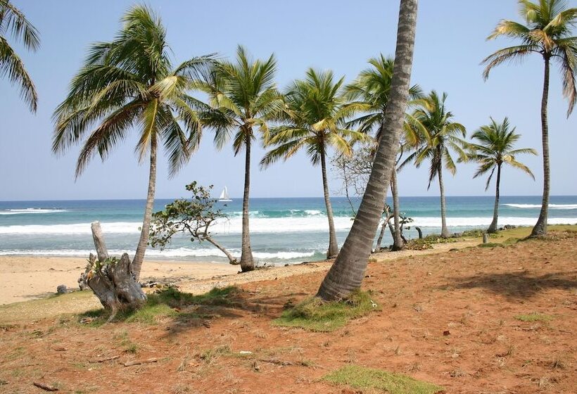 酒店 Slabdr Coliving | Once Surf Salvación