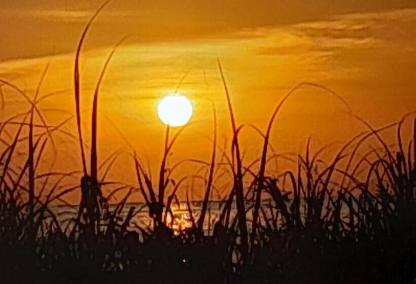 旅馆 Cabinas Del Mar