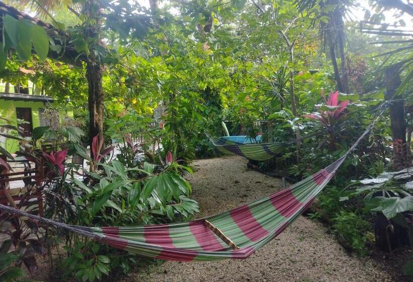 旅馆 Cabinas Del Mar