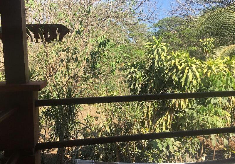 تختخواب و صبحانه Casa Zen