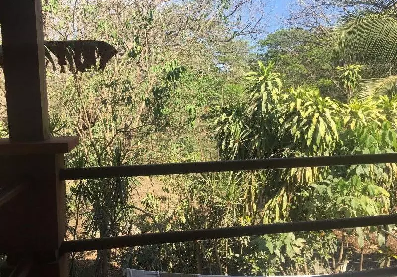 تختخواب و صبحانه Casa Zen