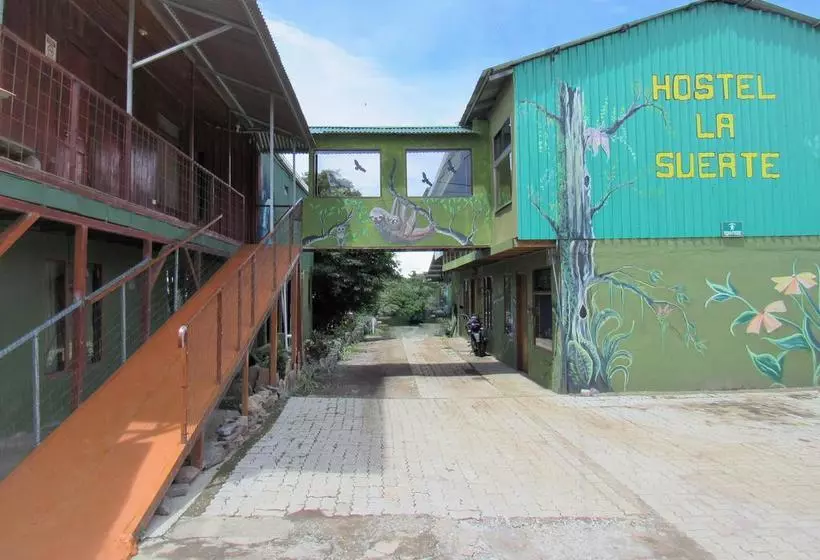 ベッドアンドブレックファースト Hostel La Suerte
