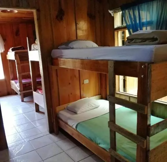 ベッドアンドブレックファースト Hostel La Suerte