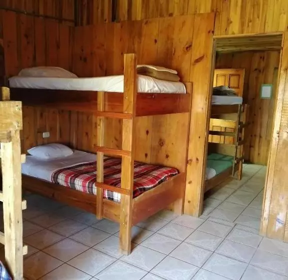 ベッドアンドブレックファースト Hostel La Suerte