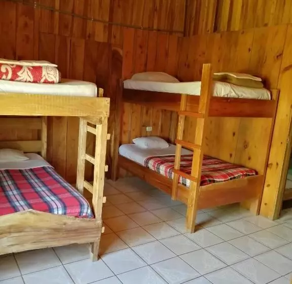 ベッドアンドブレックファースト Hostel La Suerte