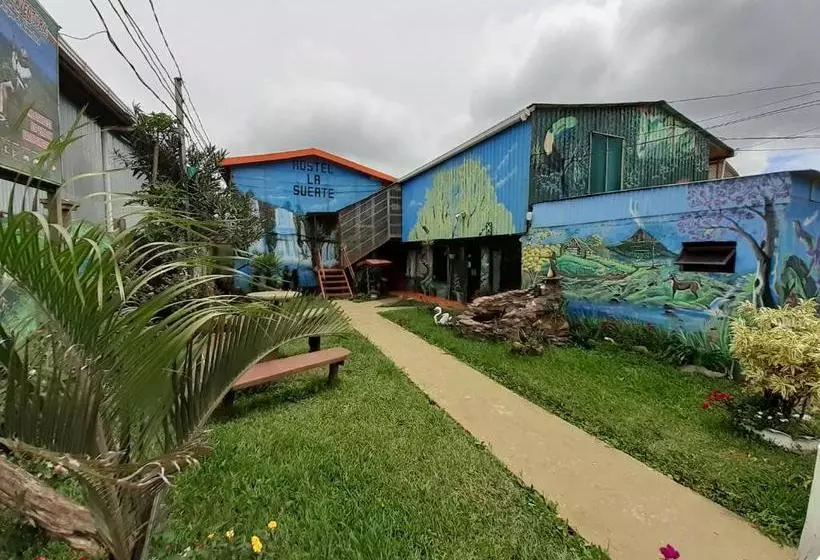 ベッドアンドブレックファースト Hostel La Suerte