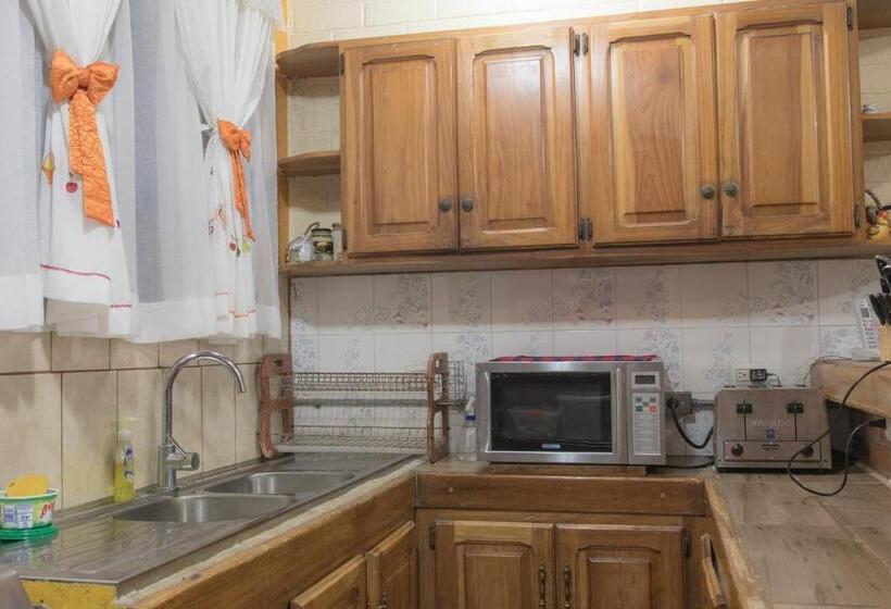 住宿加早餐  Sura