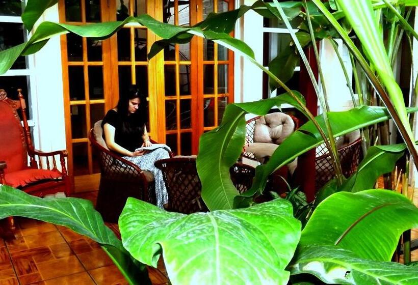 住宿加早餐  Sura