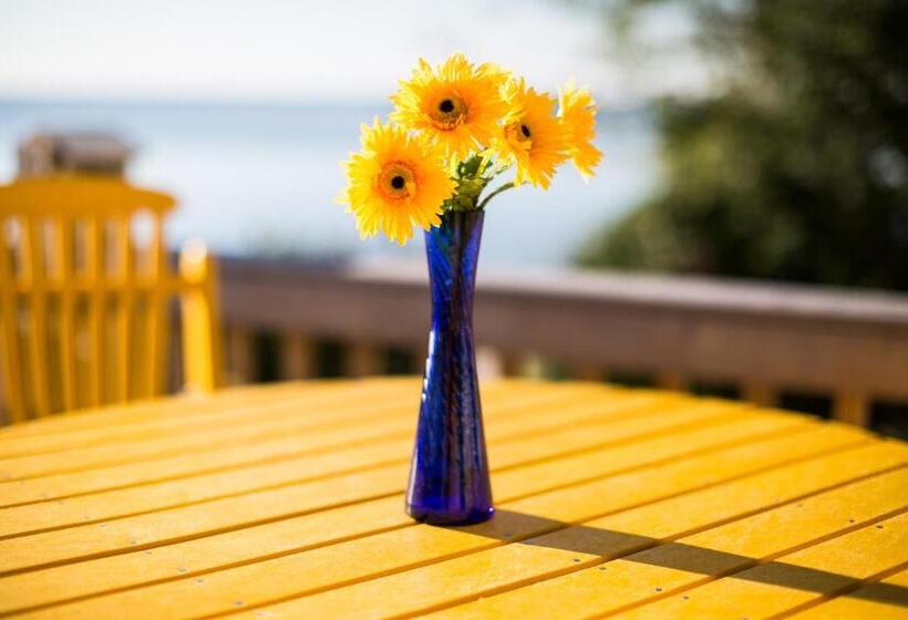 호텔 Beachfront Inn