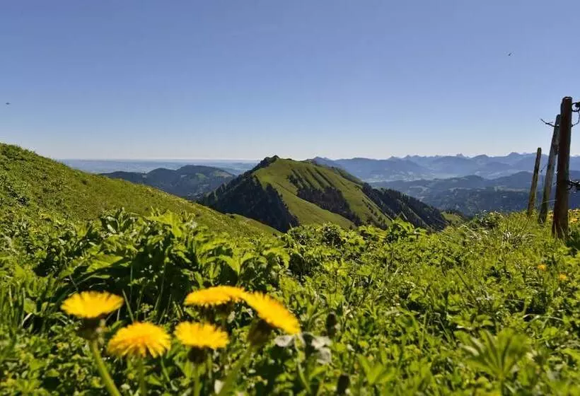 Hotelli Berghüs Schratt   Einfach Anders   Ihr Vegetarisches Und Veganes Bio