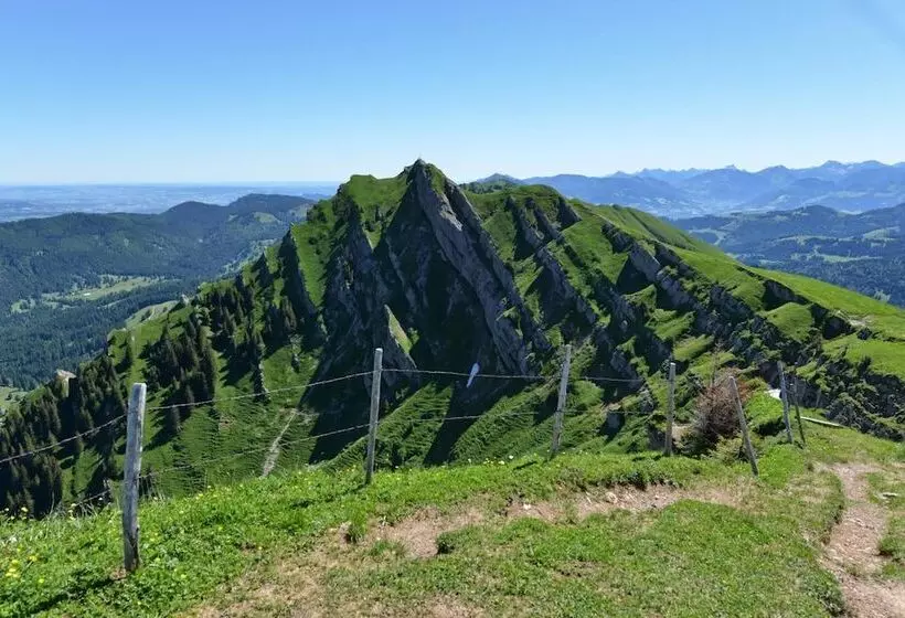 Hotelli Berghüs Schratt   Einfach Anders   Ihr Vegetarisches Und Veganes Bio