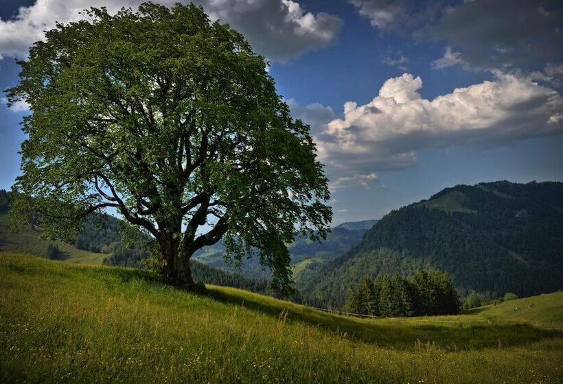 Отель Berghüs Schratt Einfach Anders Ihr Vegetarisches Und Veganes Bio