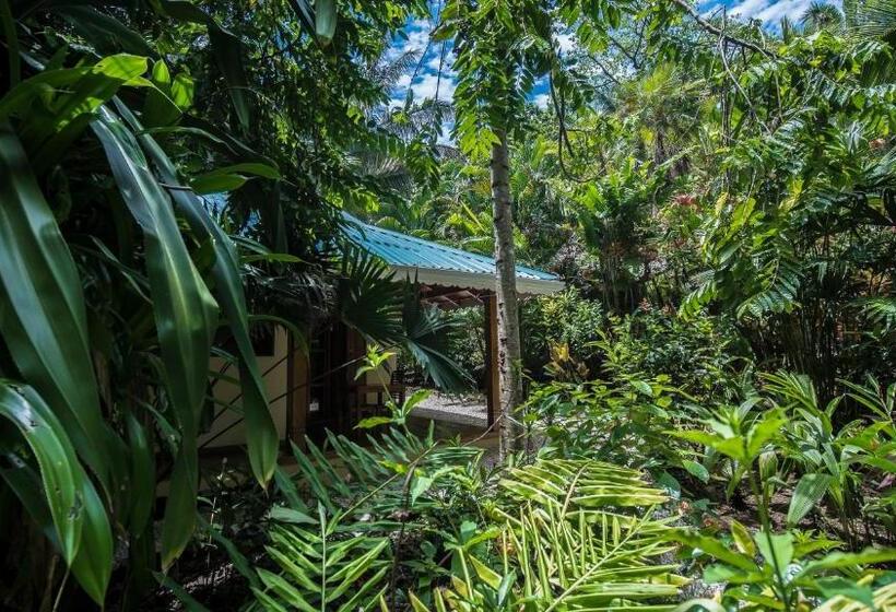 Hotelli El Pequeño Gecko Verde