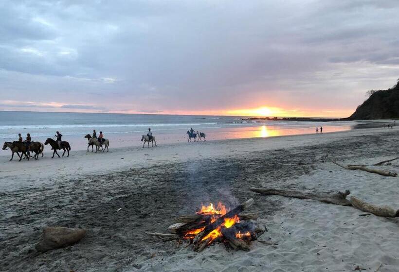 Hotelli El Pequeño Gecko Verde