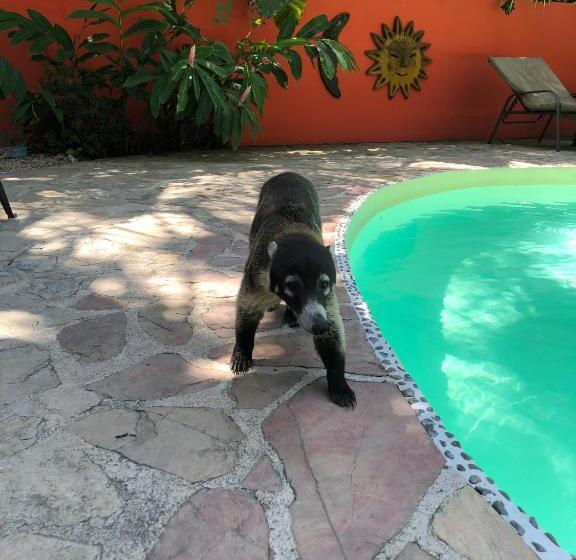 Hotelli El Pequeño Gecko Verde