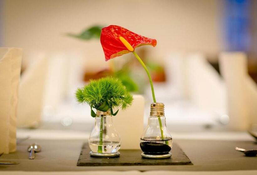 בית מלון כפרי Germania