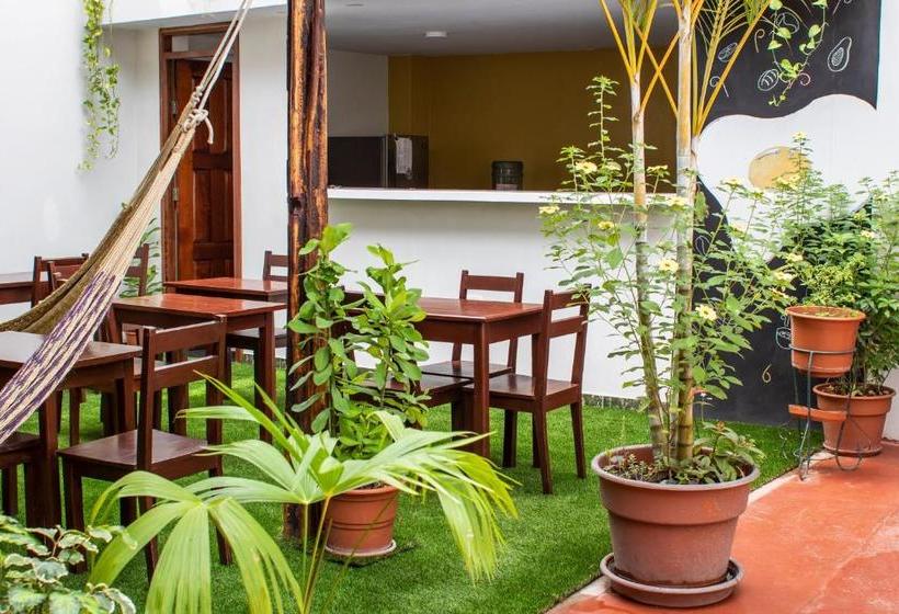 هتل Hospedaje Florentina