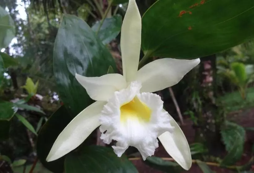 Hotelli Mohagine