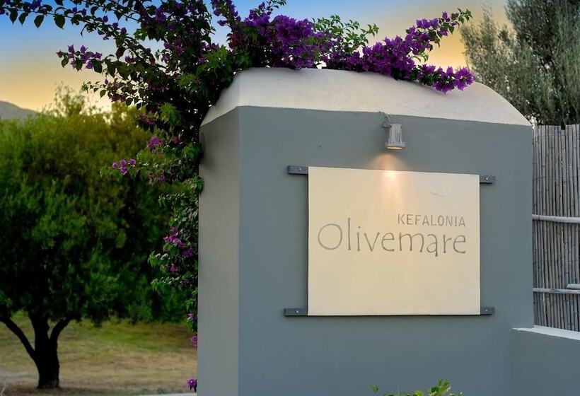 בית מלון כפרי Olivemare