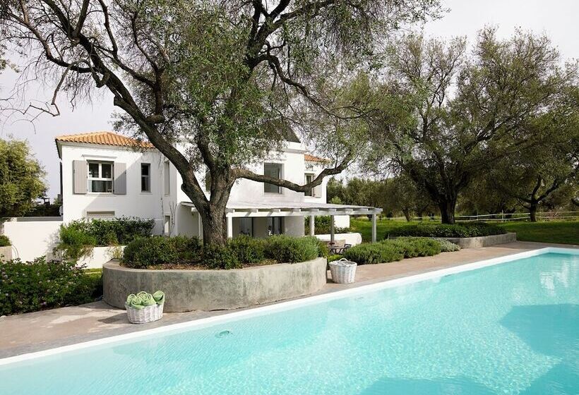 בית מלון כפרי Olivemare