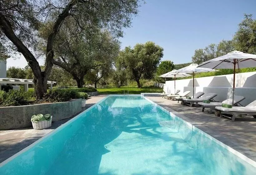 Hôtel Olivemare