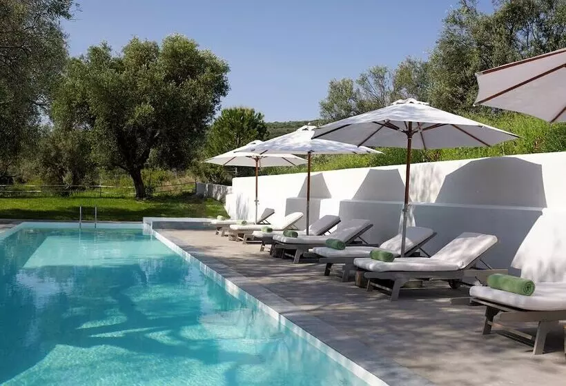 Hôtel Olivemare