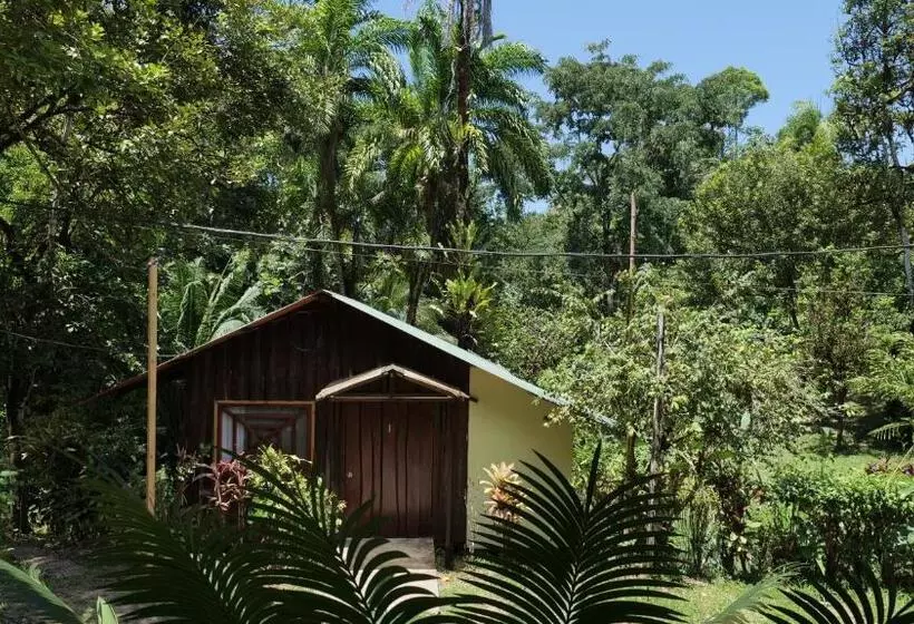 ホテル Sukia Hostel