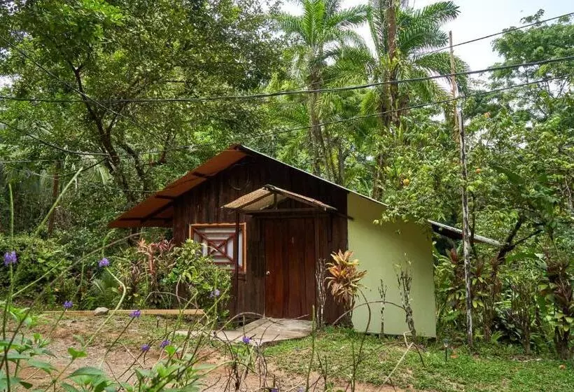 ホテル Sukia Hostel